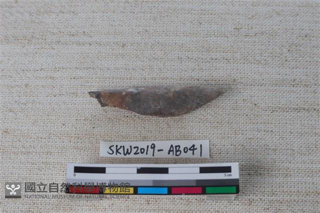 獸骨藏品圖，第1張