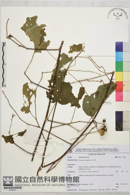 登錄號:S198041藏品圖，第1張