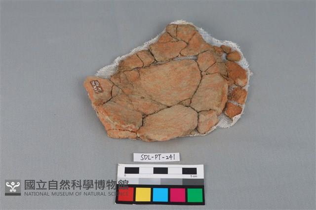 陶罐藏品圖，第1張