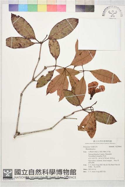 登錄號:S229841藏品圖，第1張