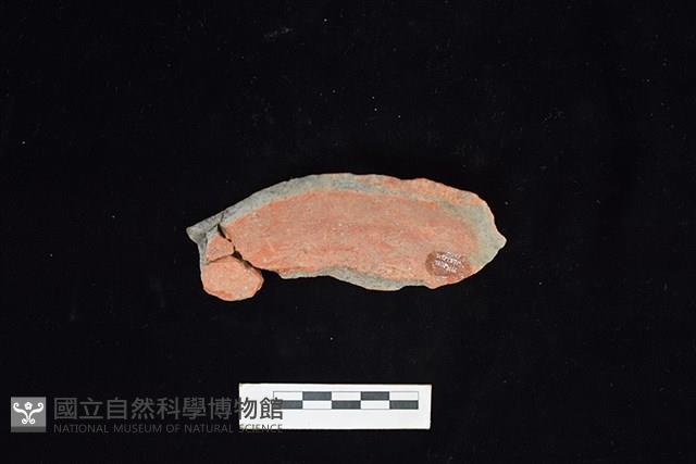 陶片藏品圖，第1張