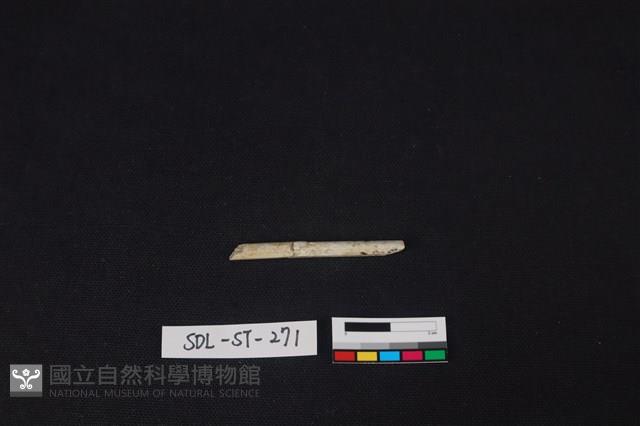 玉簪藏品圖，第1張