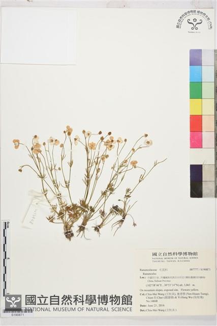 登錄號:S190871藏品圖，第1張