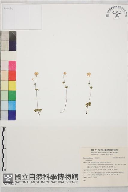 登錄號:S139871藏品圖，第1張