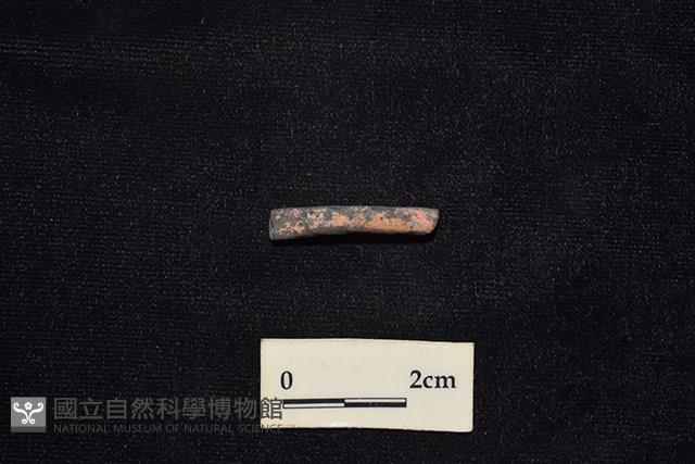 陶環藏品圖，第1張