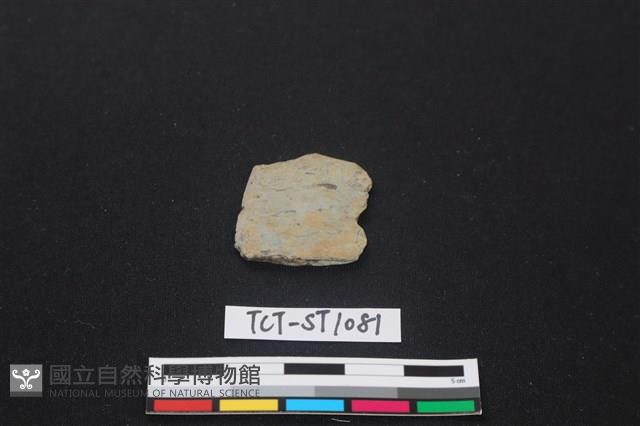 矛鏃形器藏品圖，第1張