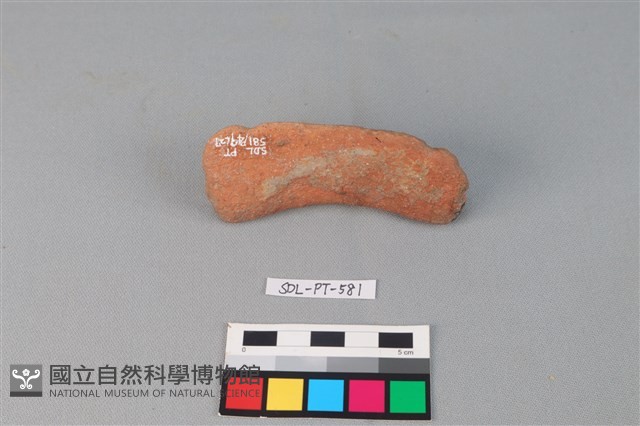 陶網墜藏品圖，第1張