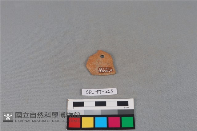 陶片藏品圖，第1張