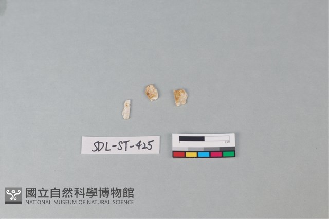 玉飾藏品圖，第1張