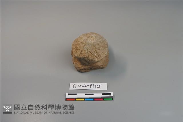 碗/淺盤型陶蓋藏品圖，第1張
