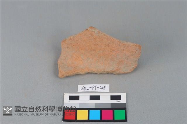 Accession Number:SDL-PT-205 Collection Image, Figure 1, Total 3 Figures