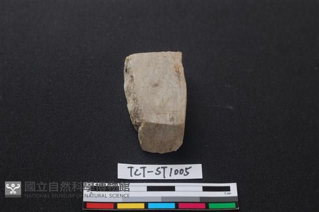 錛鑿形器藏品圖，第1張