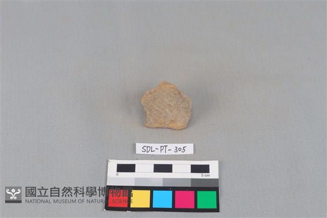 陶片藏品圖，第1張