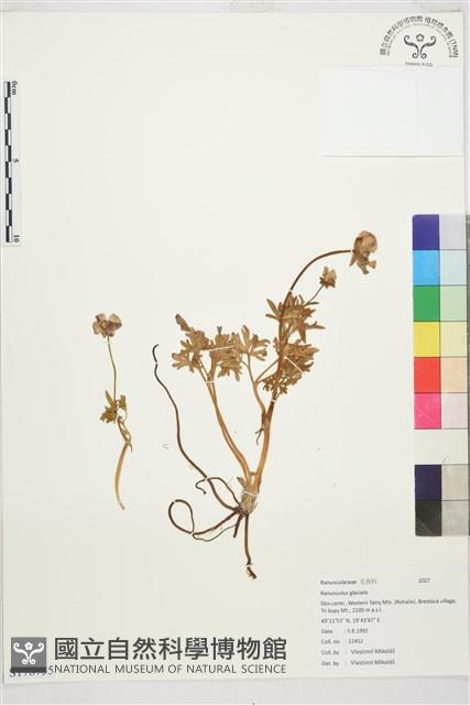 登錄號:S178755藏品圖，第1張