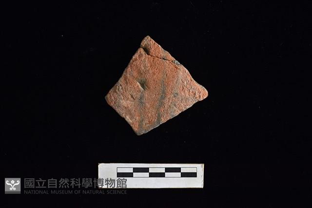 陶片藏品圖，第1張