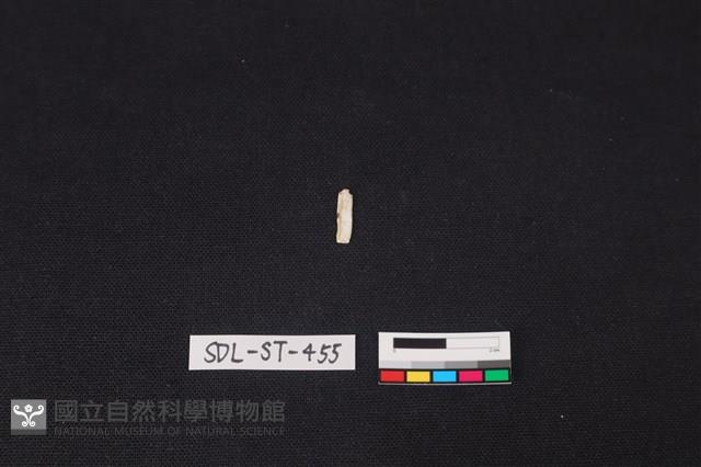 玉飾藏品圖，第1張