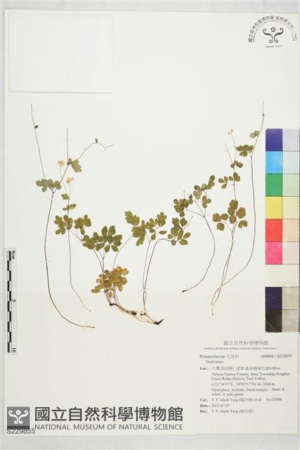 登錄號:S229855藏品圖，第1張