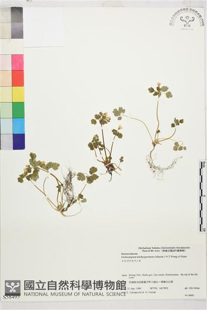 登錄號:S058495藏品圖，第1張