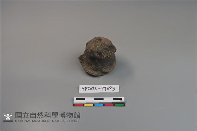 碗/淺盤型陶蓋藏品圖，第1張