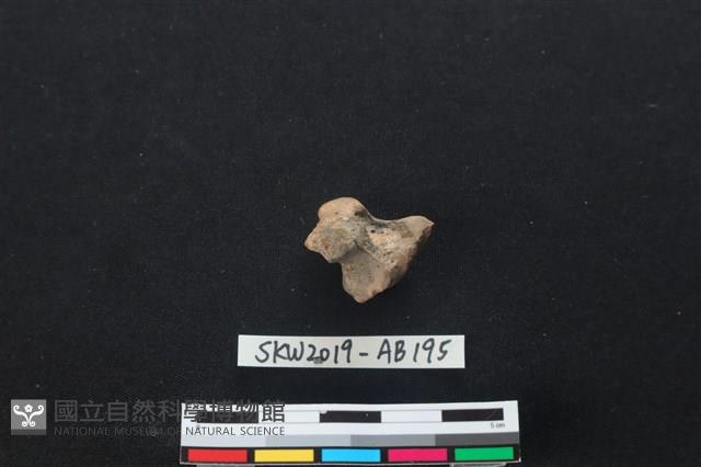 獸骨藏品圖，第1張