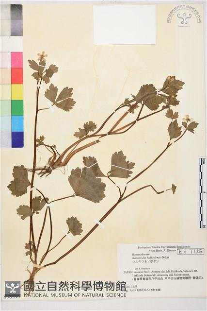 登錄號:S058395藏品圖，第1張