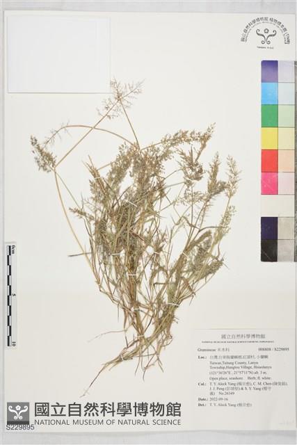 登錄號:S229895藏品圖，第1張