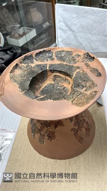 豆形器藏品圖，第1張