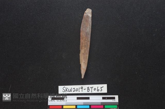 骨尖器藏品圖，第1張