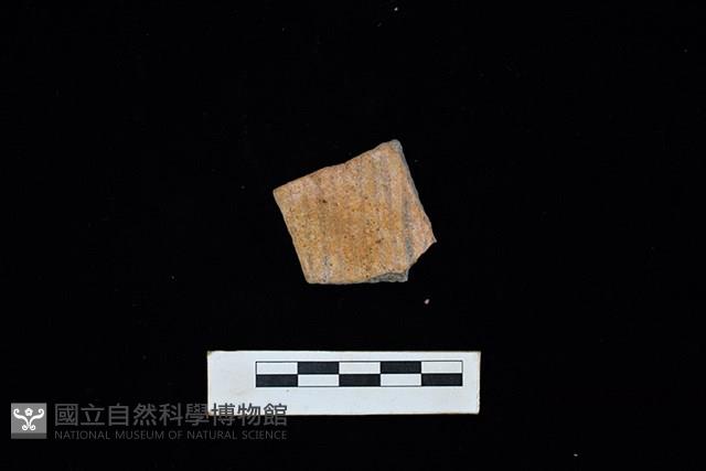 陶片藏品圖，第1張