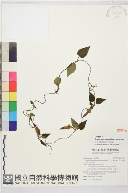 Accession Number:S098465 Collection Image