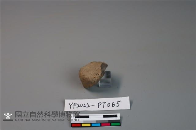 陶鈕藏品圖，第1張