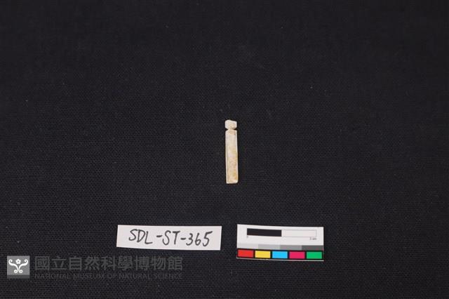 玉飾藏品圖，第1張