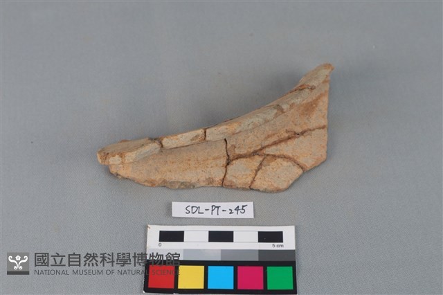 陶罐藏品圖，第1張