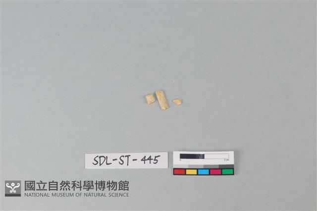 玉飾藏品圖，第1張