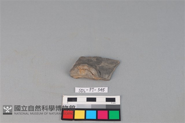 陶蓋藏品圖，第1張