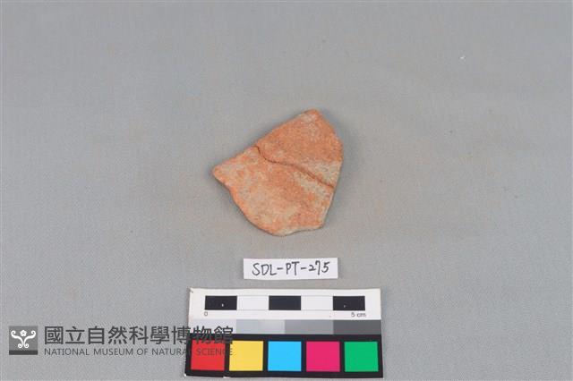 陶片藏品圖，第1張