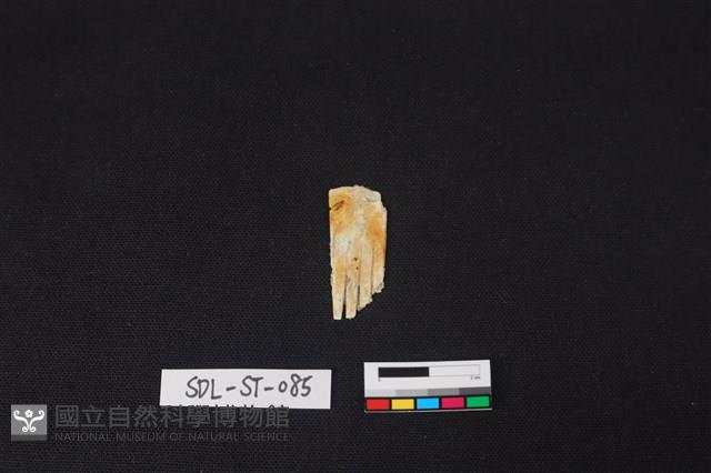 玉飾藏品圖，第1張