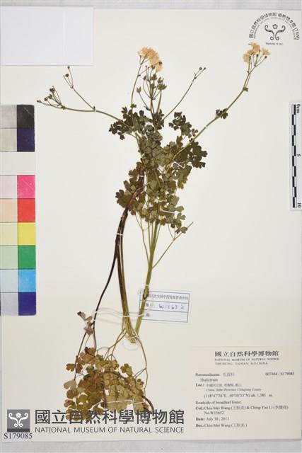 登錄號:S179085藏品圖，第1張