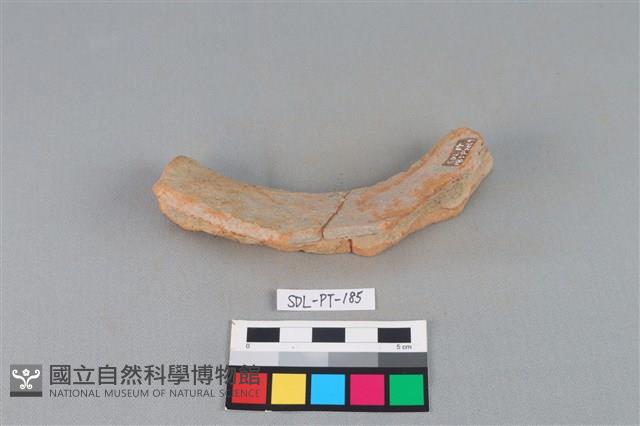 陶罐藏品圖，第1張