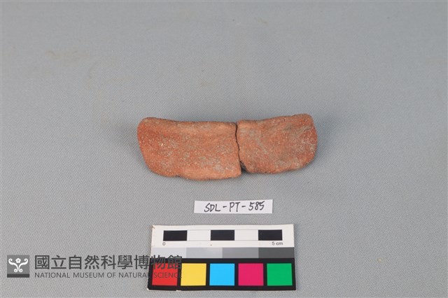 陶網墜藏品圖，第1張