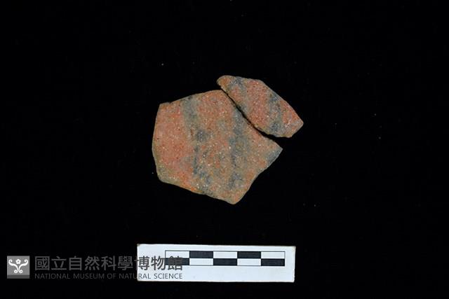 陶片藏品圖，第1張