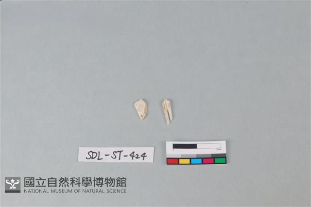 玉飾藏品圖，第1張