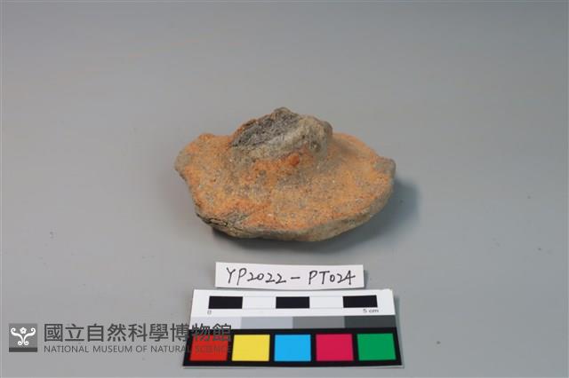 碗/淺盤型陶蓋藏品圖，第1張