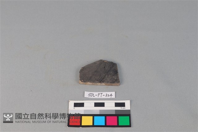 陶片藏品圖，第1張