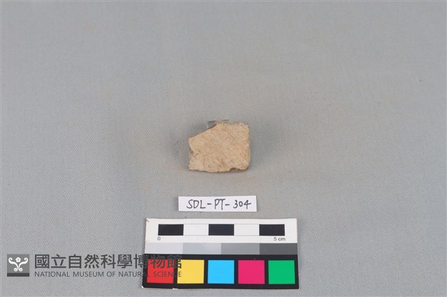 陶片藏品圖，第1張