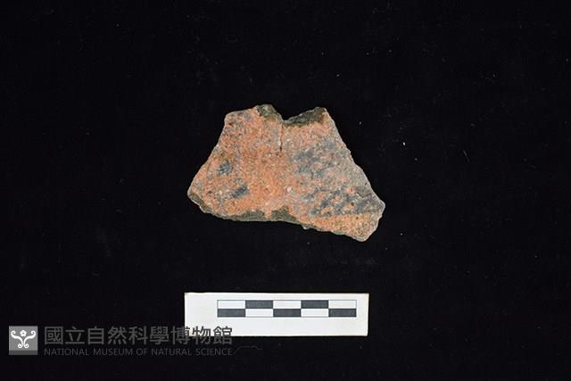 陶片藏品圖，第1張