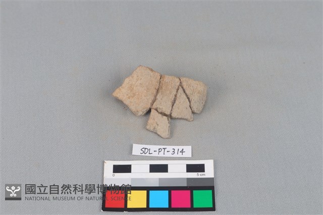 陶片藏品圖，第1張
