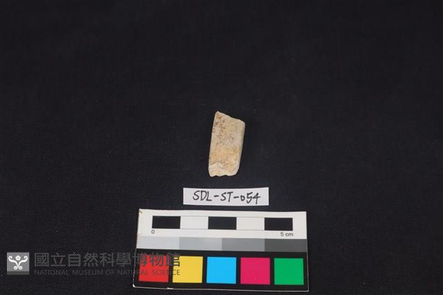 錛鑿形器藏品圖，第1張