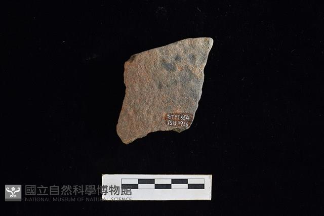 陶片藏品圖，第1張