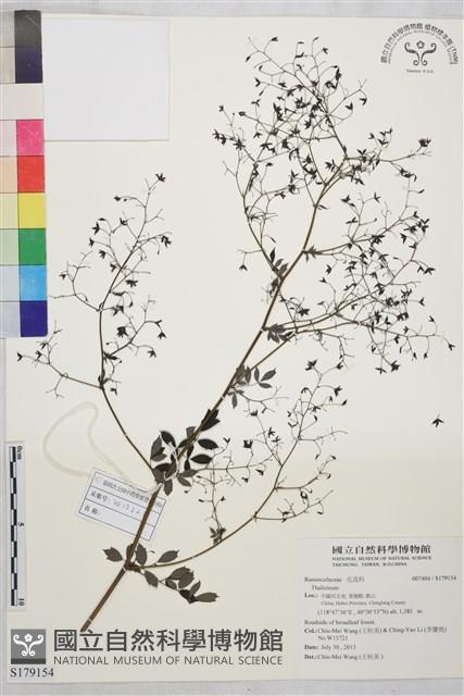 登錄號:S179154藏品圖，第1張